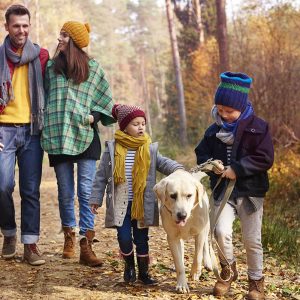 Borders solicitors estate agents for life planning