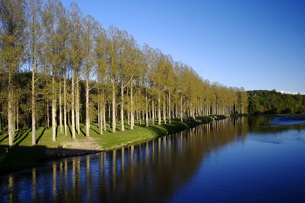 River Tweed from road bridge near Dryburgh, St. Boswells. Photo by Steve Wyper