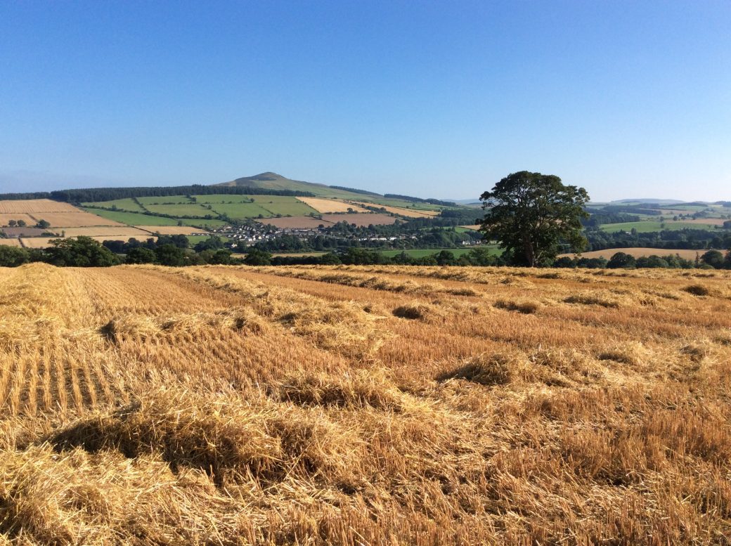 Ruberslaw with Stubble Field. Photo by Ron Hastings