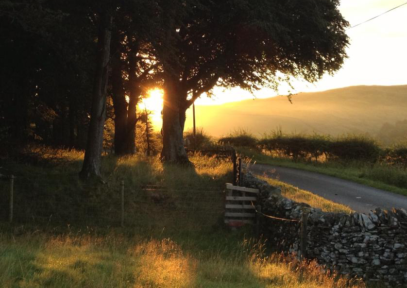 Sunset through trees by Pat Douglas