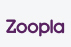 zoopla